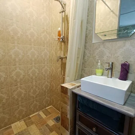 Apartment Starka *